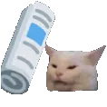 mickybobo9407
