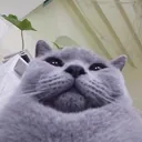 panubanky