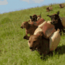 avatar ! skittles  🥨