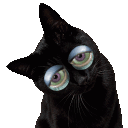 loudandgassy