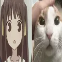 demzos