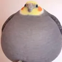halydev
