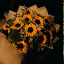 avatar 𝐴𝑢𝑟𝑜𝑟𝑎