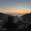 avatar 𝐴𝑢𝑟𝑜𝑟𝑎