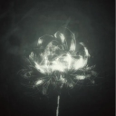 avatar 𝐶𝑜𝑙𝑒