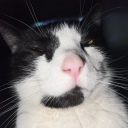 avatar 𝐶𝑜𝑙𝑒