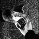 unknown_261005