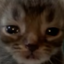 Discord Avatar