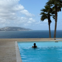 avatar Shayyy 🧚🏻