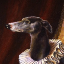 avatar 𝐃𝐫 𝐒𝐧𝐢𝐩𝐞