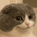 avatar !   ' Lurinn🩵