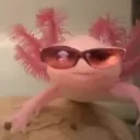 sammac_. avatar