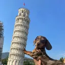 angelo.0007