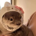 avatar ⏾𝑳𝒊𝒏𝒂