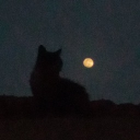 avatar ⏾𝑳𝒊𝒏𝒂