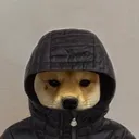 allski