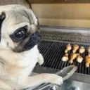 phillybbq