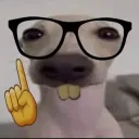 potato_solar