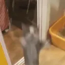 maciat
