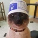 sniecker