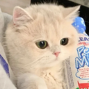 View petitedove's Profile