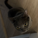 avatar apadiyijiuioohuijjik