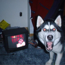 avatar Glib splork 2