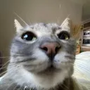 murilouu