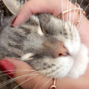 avatar 𝓚𝓲𝓽𝓽𝔂𝓴𝓪𝓽𝓨٢𝓚❀