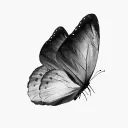 moony_minguante