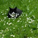 kitkat09876
