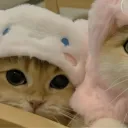 sushiplays214563 avatar