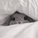 avatar ׁ    ݂    ℳ𝗈𝗈𝗄i𝑒   ׁ   ꪆৎ  ׁ