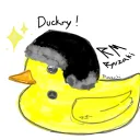 duckry avatar