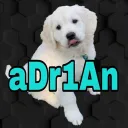 adr1an_11