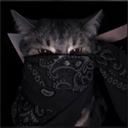 avatar 𝕸𝖆𝖌𝖗𝖆̃𝖔🃏