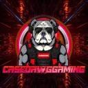 casedawggaming