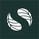 skilltreecursos