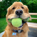 avatar Mr. Make It Happen