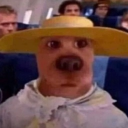 avatar procodmgirl62