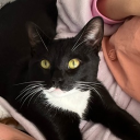 avatar ♡ ღ 𝓙𝓪𝔃𝓶𝓲𝓷 ꨄ ♡