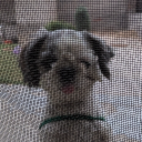 avatar कंकाल