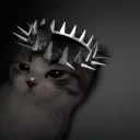 _kr2_