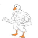 longaxke