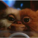 gizmo_penguin