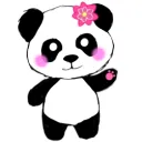 dayum_panda