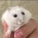 Аватар artyr213