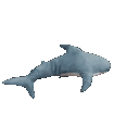 arianabutera