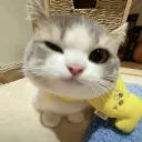 rmdhnsptrutm_