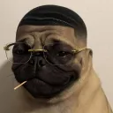 xenoxzoff